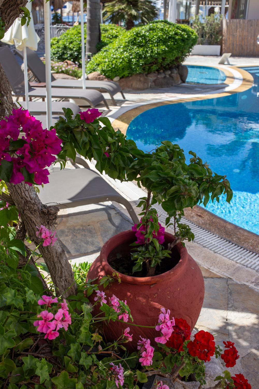 Uzhan Beach Hotel Bitez Exterior foto